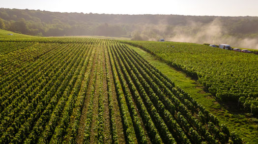 Héritage et Authenticité