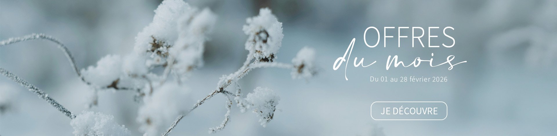 Offre du mois fevrier 2026