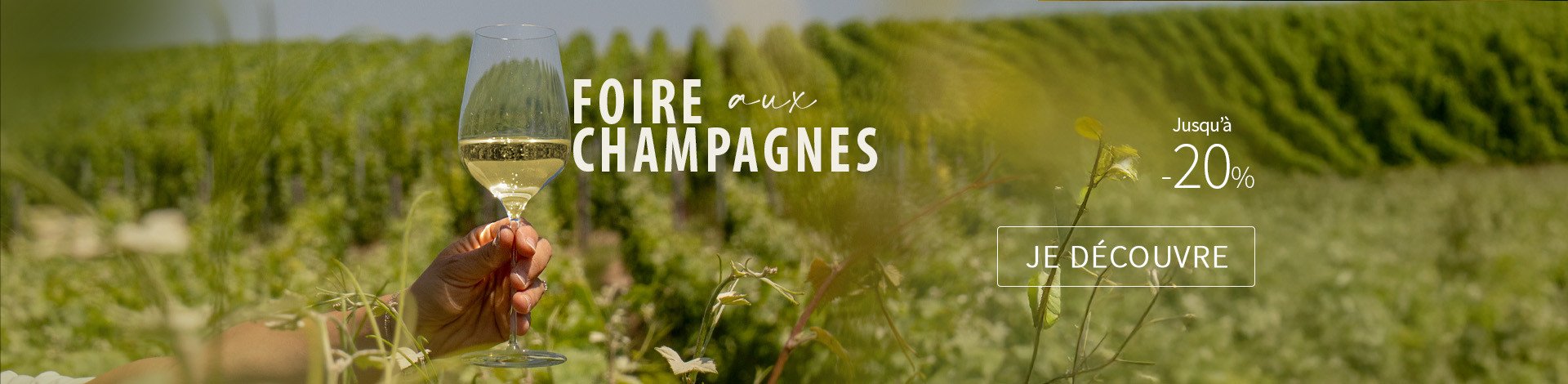 Foire aux Champagnes 03 2026 2