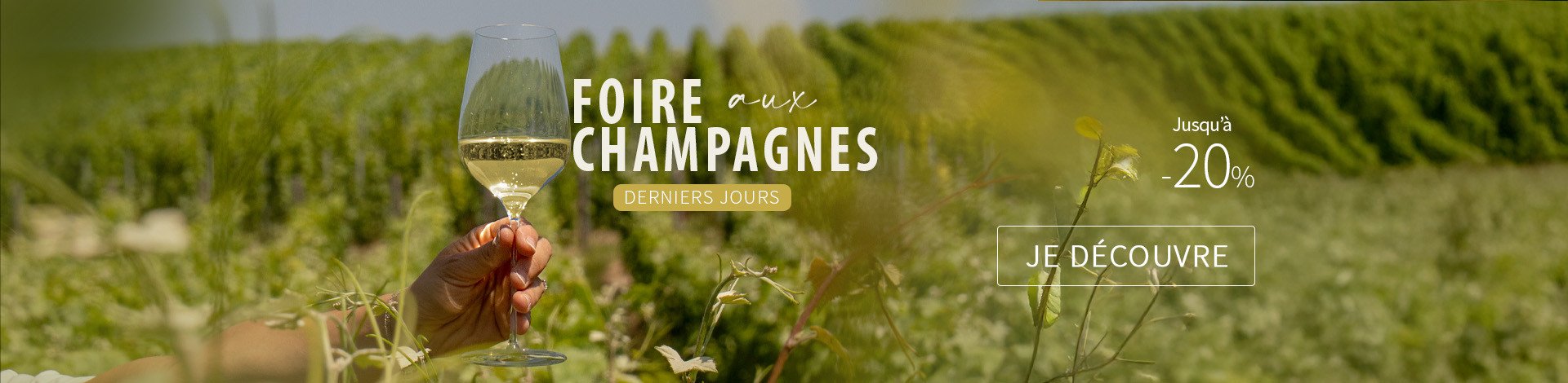 Foire aux Champagnes 03 2026 derniers jours