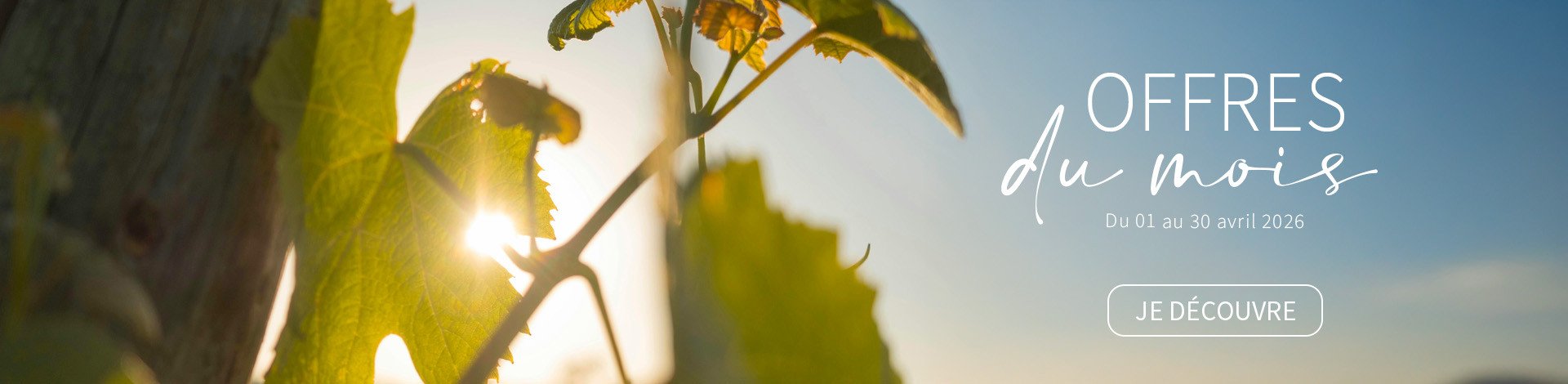 Offres du mois 04 2026