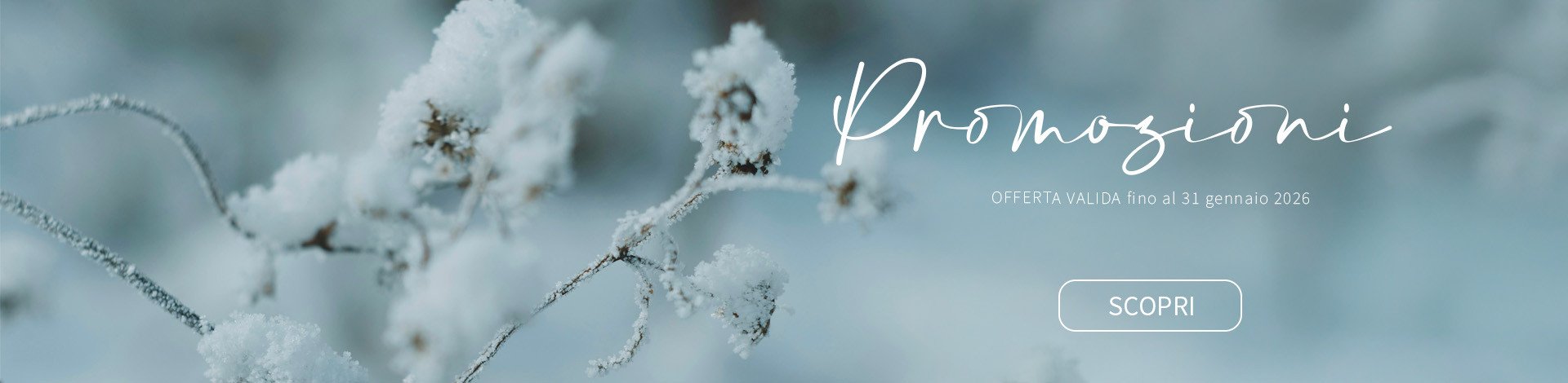 Promozioni Janvier 2026