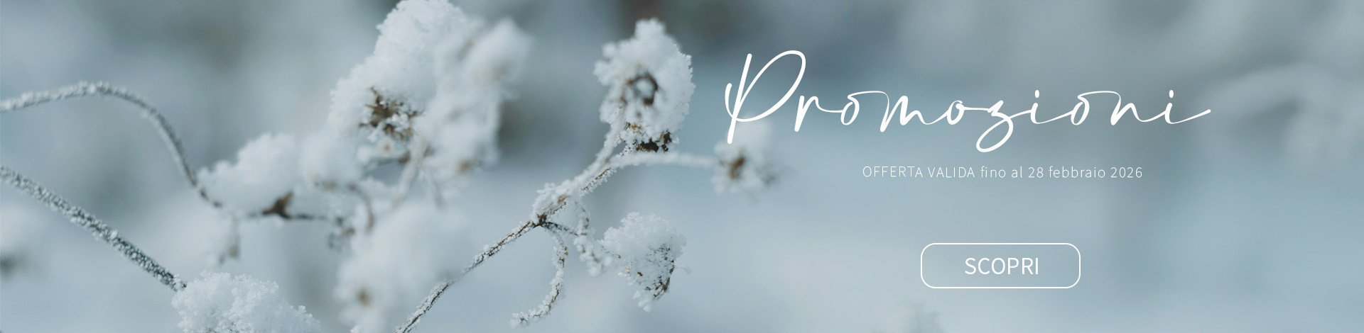 Promozioni Fevrier 2026