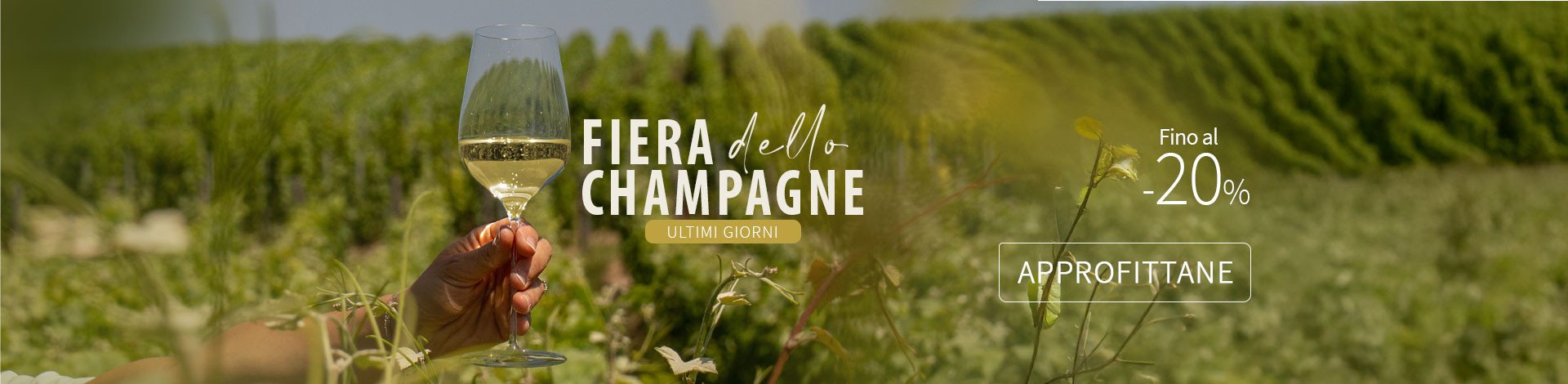 Fiera dello Champagne 03 2026 Ultimi Giorni