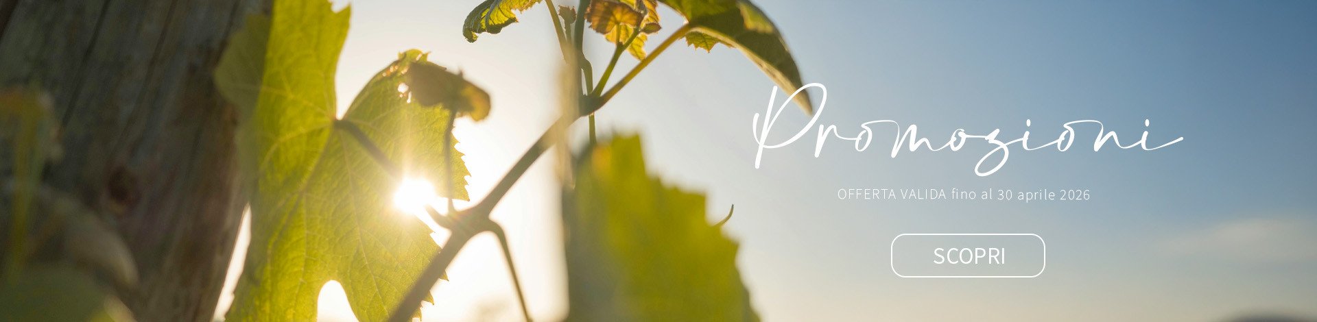 Promozioni Aprile 2026