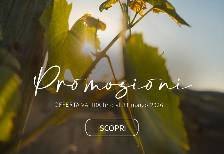 Promozioni Marzo 2026