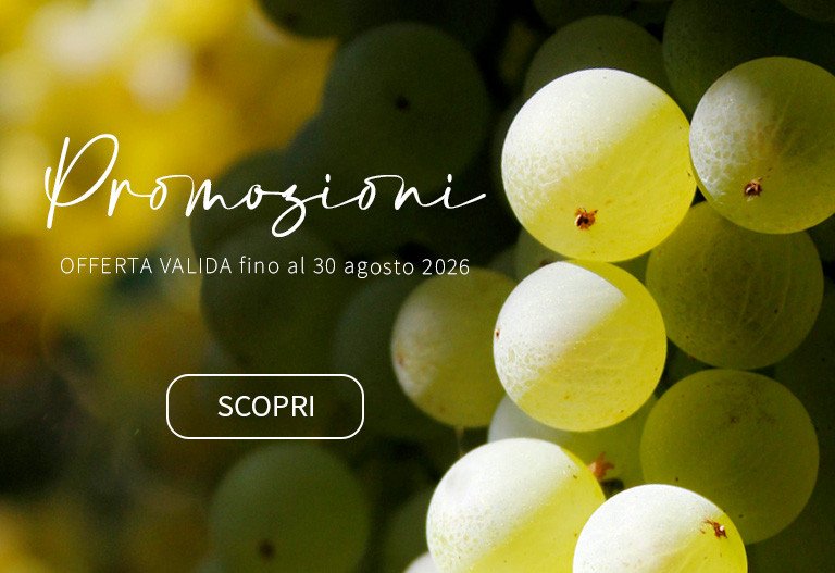 Promozioni