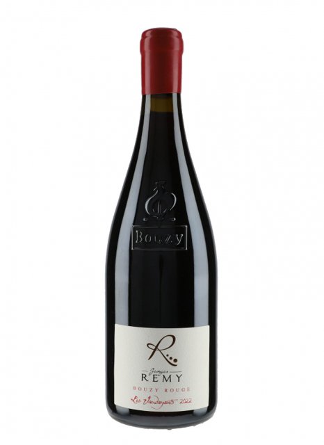 Champagne Georges Remy - Les Vaudayants 2022 - Fles 75 cl Champagne Georges Remy - Les Vaudayants 2022 - Fles 75 cl