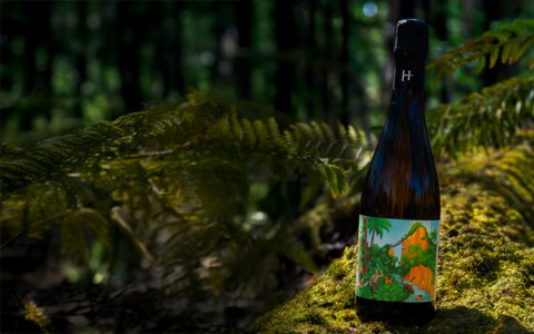 Champagne Romain Hénin