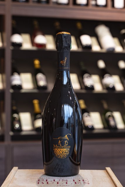 Champagne De Sousa - Mycorizhe - Bouteille 75CL
