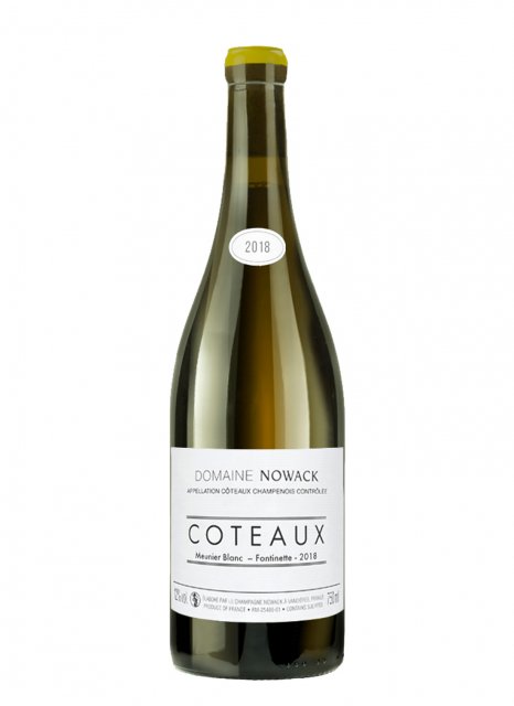 Champagne Nowack - Coteaux Champenois Blanc - Fontinette 2018 - Flasche 75 cl Champagne Nowack - Coteaux Champenois Blanc - Fontinette 2018 - Flasche 75 cl
