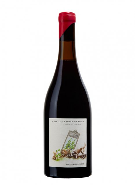 Champagne Sacy Soeur & Frère - Le travers des Courtisols rouge 2023 - Bottiglia 75 cl Champagne Sacy Soeur & Frère - Le travers des Courtisols rouge 2023 - Bottiglia 75 cl
