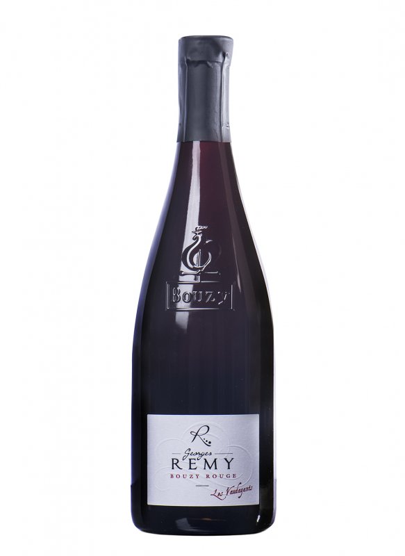 Champagne Georges Remy - Les Vaudayants 2019 - Bouteille 75CL