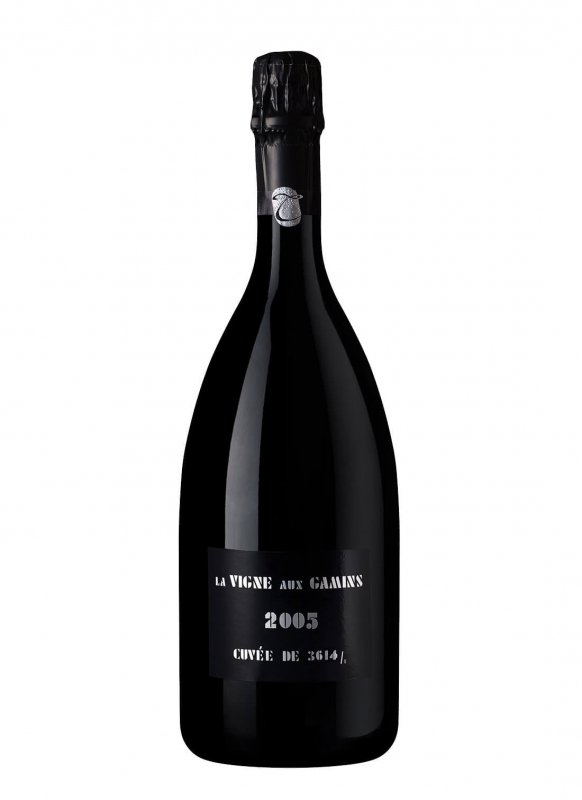 Champagne Thiénot - La Vigne Aux Gamins 2005 - Bouteille 75CL