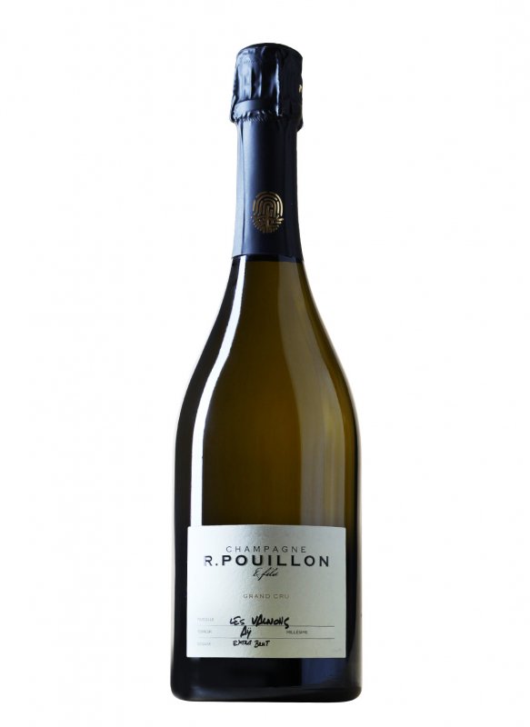 Champagne Fabrice Pouillon - Les Valnons 2017 - Bouteille 75CL Champagne Fabrice Pouillon - Les Valnons 2017 - Bouteille 75CL