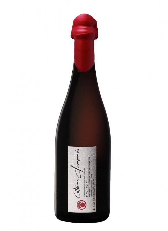 Champagne Fleury - Coteaux Champenois 2019 - Garrafa 75 cl Champagne Fleury - Coteaux Champenois 2019 - Garrafa 75 cl