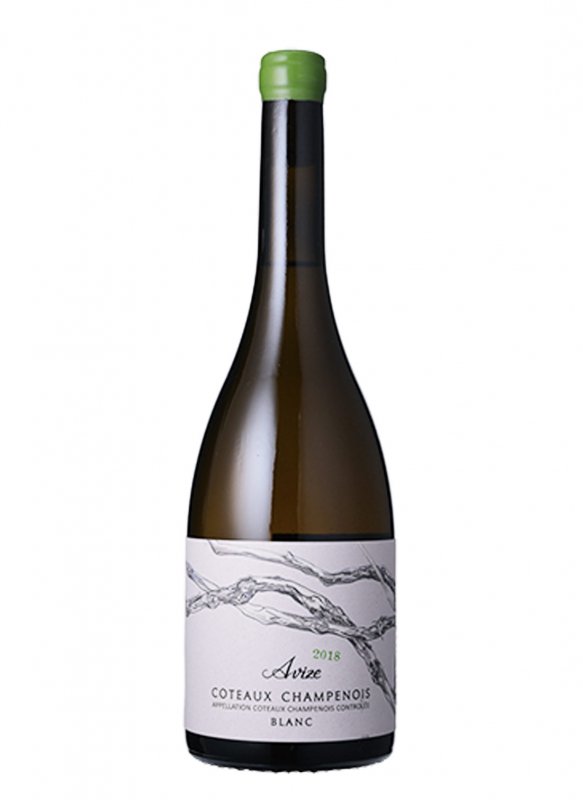 Champagne De Sousa - Coteaux Blanc Avize 2018 - Garrafa 75 cl Champagne De Sousa - Coteaux Blanc Avize 2018 - Garrafa 75 cl