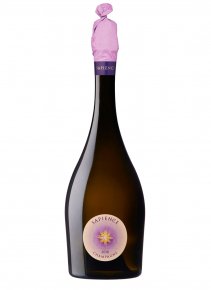 Champagne Marguet - Sapience 2018 - Bouteille 75CL