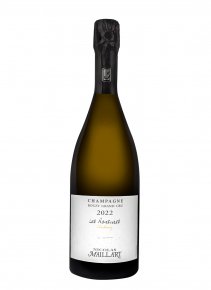 Champagne Nicolas Maillart - Ronsures Chardonnay Grand Cru 2022 - Flasche 75 cl
