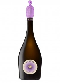 Champagne Marguet - Sapience 2017 - Bouteille 75CL