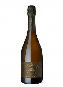 Champagne Hugues Godmé - Les Champs Saint Martin 2013 - Bottiglia 75 cl